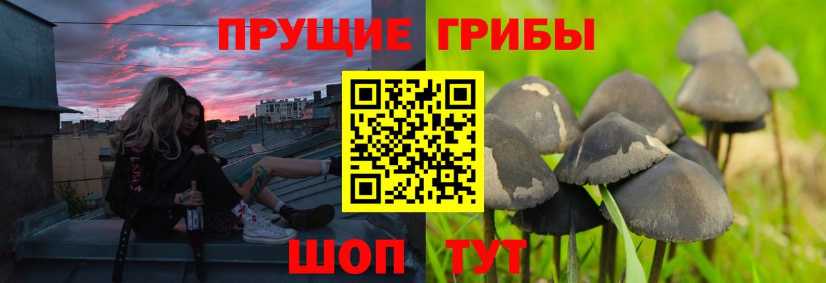 Псилоцибиновые грибы Magic Shrooms  Вход с VPN  Таганрог 